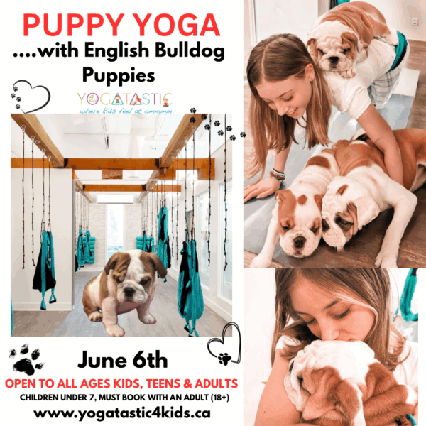 English Bulldog Puppy Yoga - Open Ages - June 6th 4:45-5:45