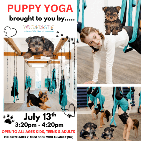 Puppy Yoga - Open Ages - July 13th 3:20pm-4:20pm