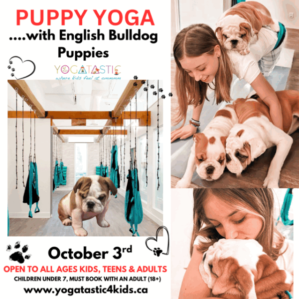 English Bulldog Puppy Yoga - Open Ages - Oct. 3rd 6:20pm-7:20pm (session 1)