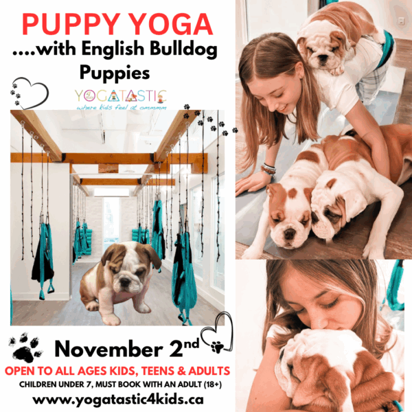 English Bulldog Puppy Yoga - Open Ages - Nov. 2nd 2:30pm-3:30pm (session 1)