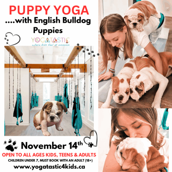 English Bulldog Puppy Yoga - Open Ages - Nov. 14th 6:20pm-7:20pm