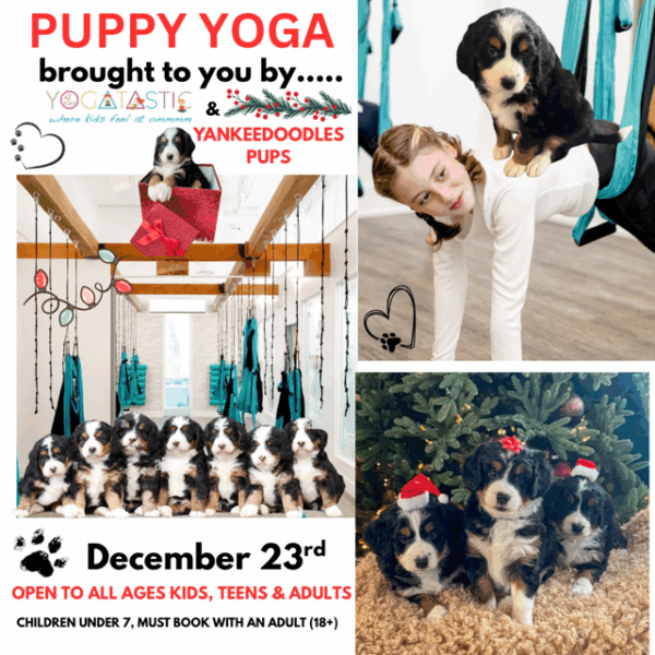 Surprise Puppy Yoga Pop Up!- Open Ages - 1:00pm-2:00pm (session 1)