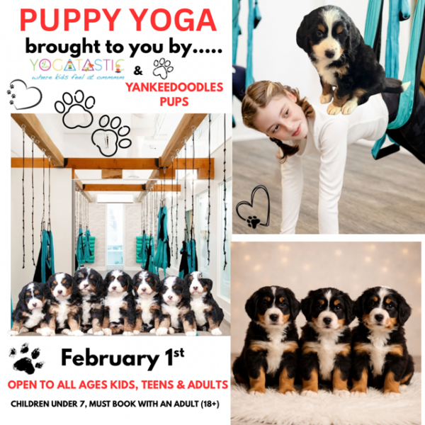Puppy Yoga - Open Ages - Feb. 1st 11:00pm-12:00pm (session 1)