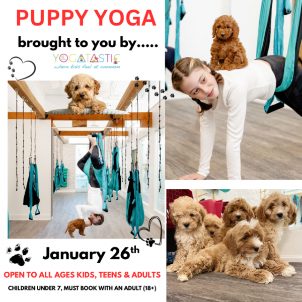 Puppy Yoga - Open Ages - Jan. 26th 6:20pm-7:20pm (session 2)