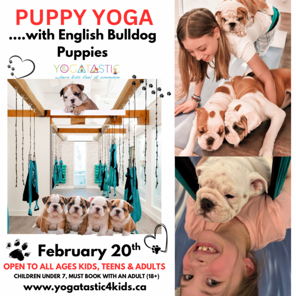 English Bulldog Puppy Yoga - Open Ages - Feb. 20th 3:00pm-4:00pm (session 3)