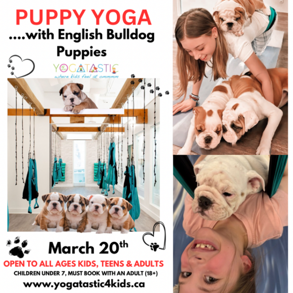 English Bulldog Puppy Yoga - Open Ages - March 20th, 4:30pm 5:30pm (session 1)