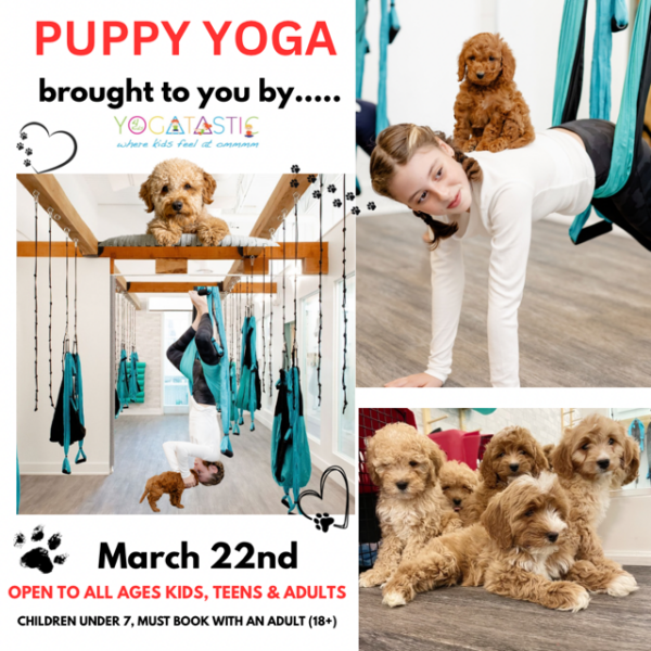 Puppy Yoga - Open Ages - March 22nd 1:00pm-2:00pm