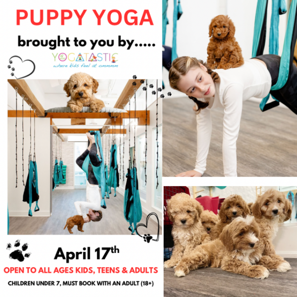 Puppy Yoga - Open Ages - April 17th 4:20pm-5:20pm (session 1)