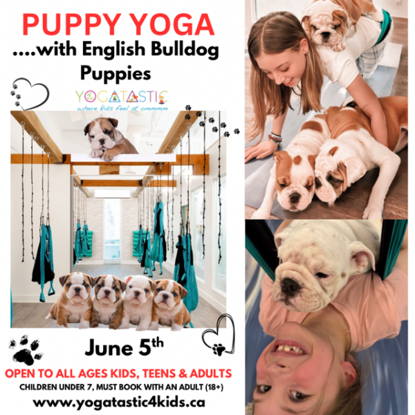 English Bulldog Puppy Yoga - Open Ages - June 5th, 5:00pm - 6:00pm
