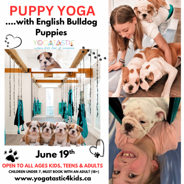 English Bulldog Puppy Yoga - Open Ages - June 19th, 5:00pm - 6:00pm