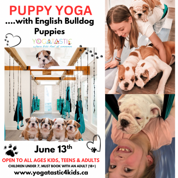 English Bulldog Puppy Yoga - Open Ages - June 13th, 2:30pm - 3:30pm (session 1)